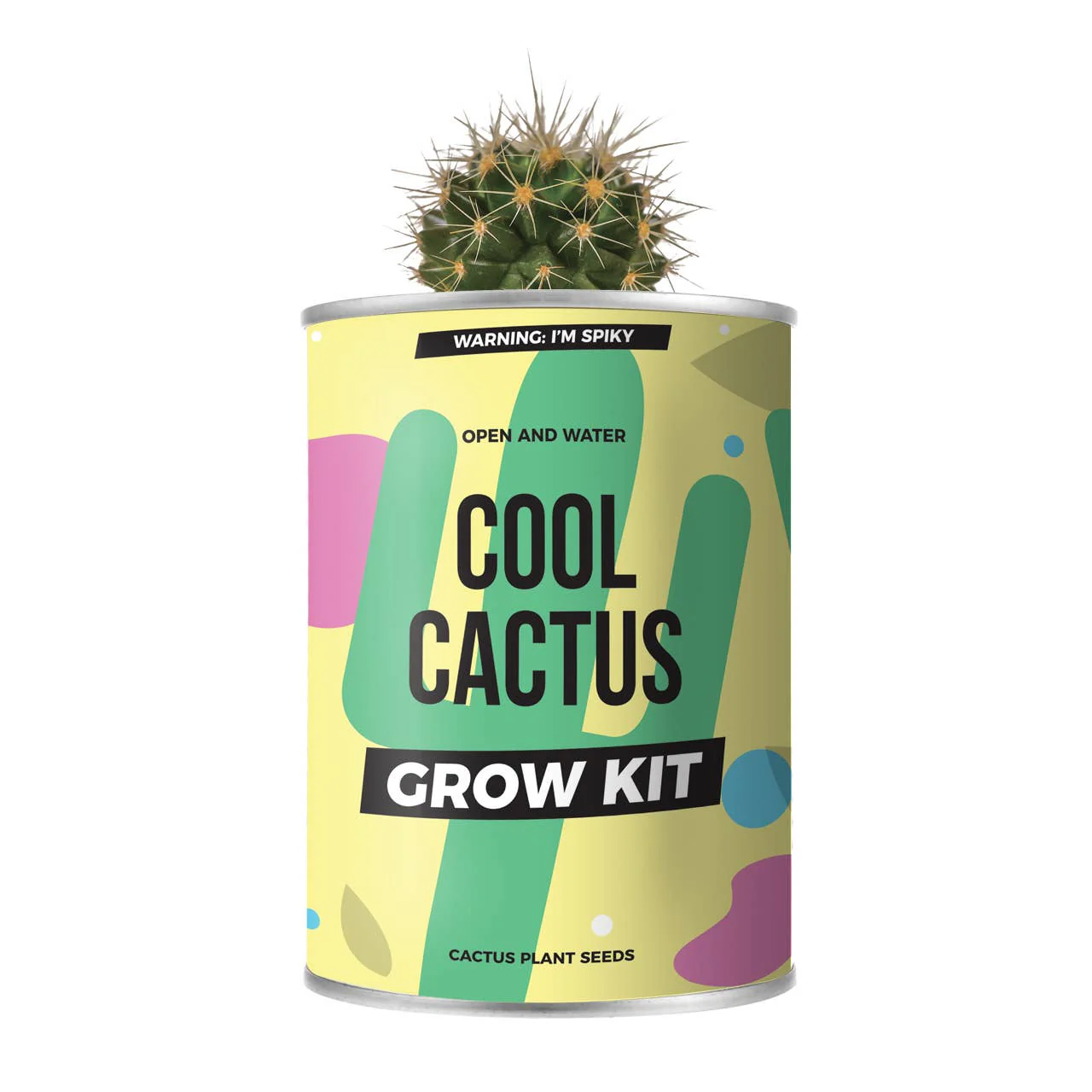 Cool Cactus Grow Tin - Image 3