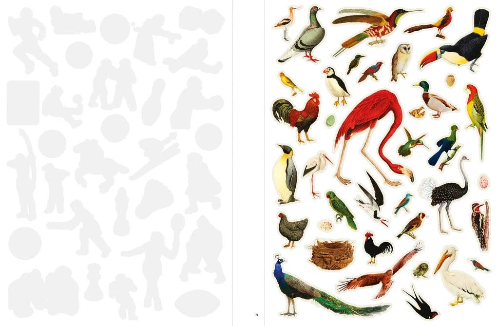Even More Extraordinary Things to Cut Out and Collage by Paula Gonzalez (Paperback) - Image 4
