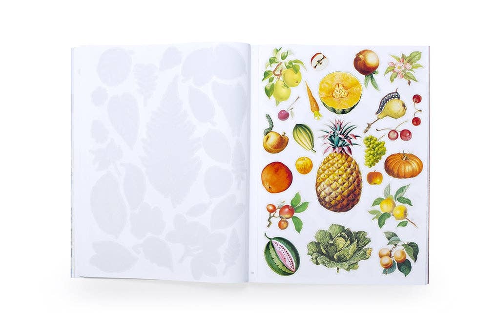 Extraordinary Things to Cut Out and Collage by Maria Rivans (Paperback) - Image 11