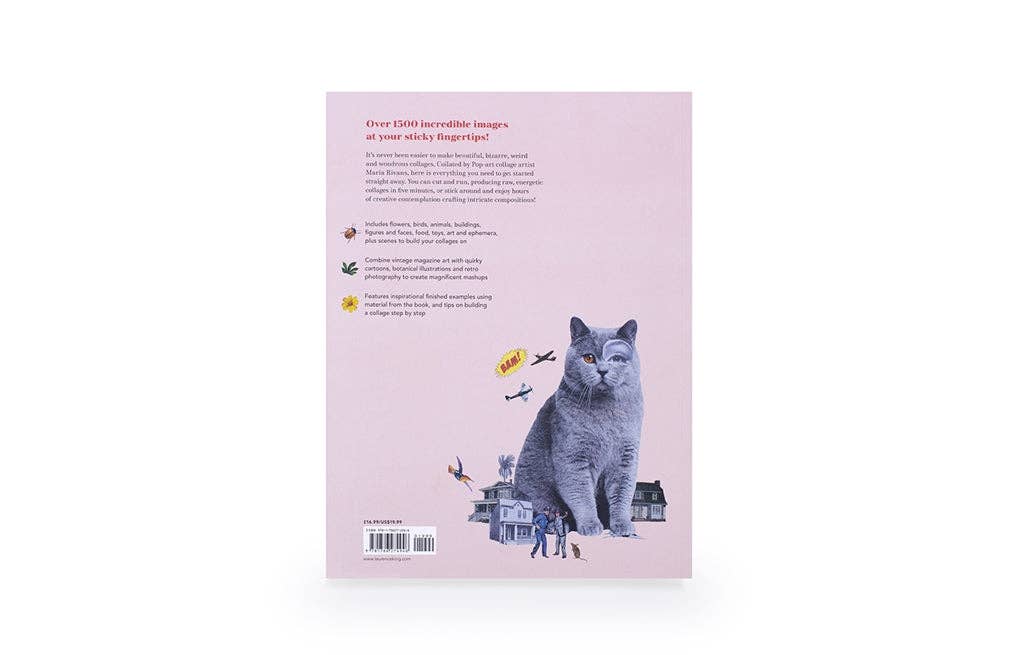 Extraordinary Things to Cut Out and Collage by Maria Rivans (Paperback) - Image 3