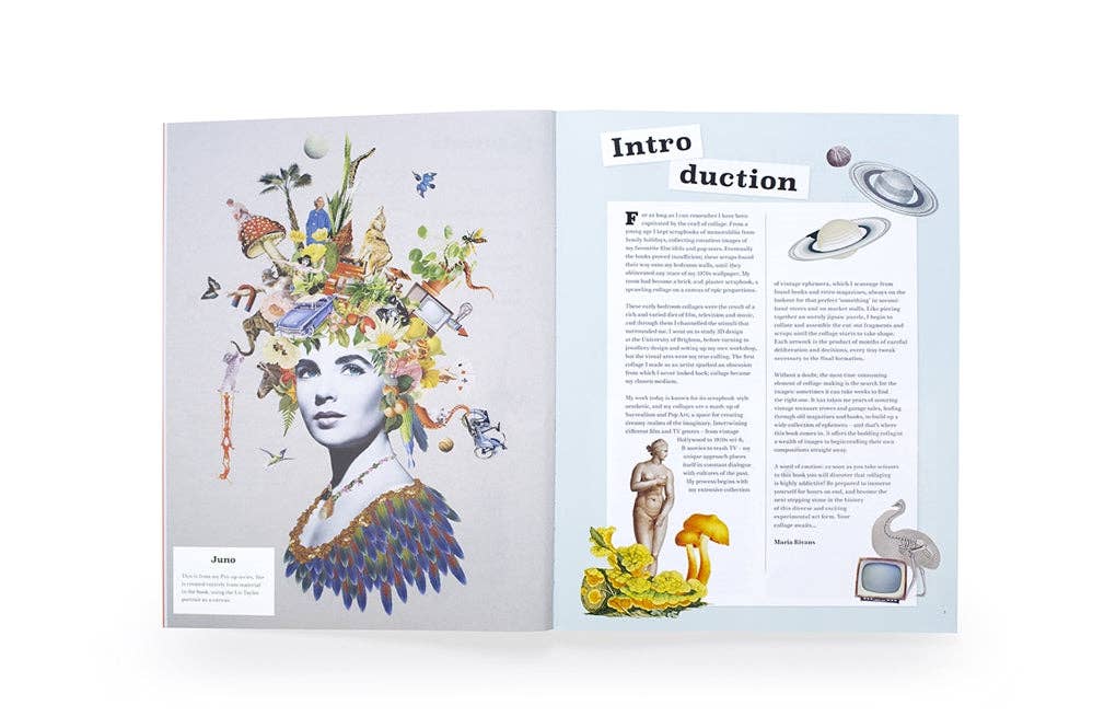 Extraordinary Things to Cut Out and Collage by Maria Rivans (Paperback) - Image 4