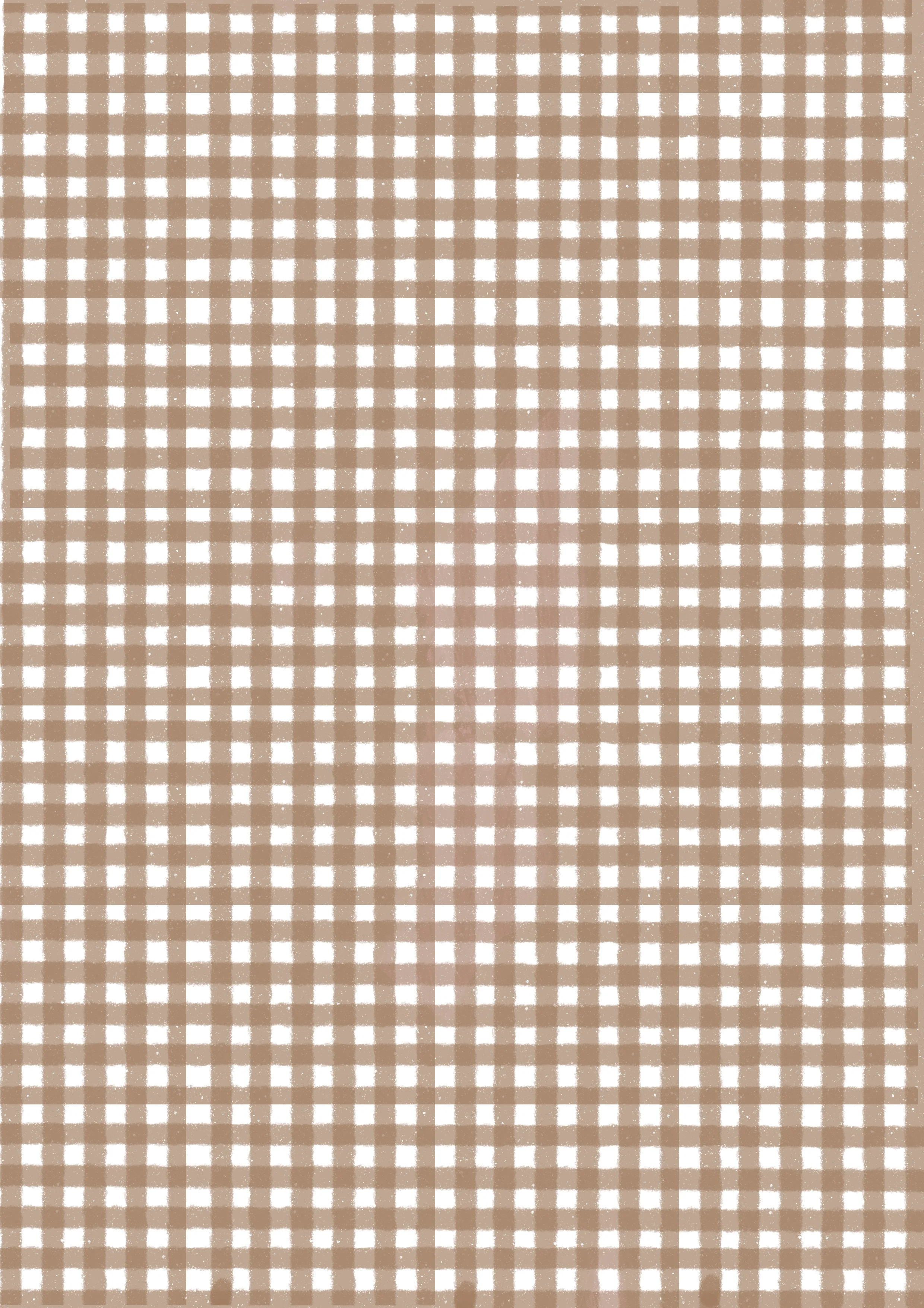 Journal Papers - pack of 12 - A5 (Gingham) - Image 3
