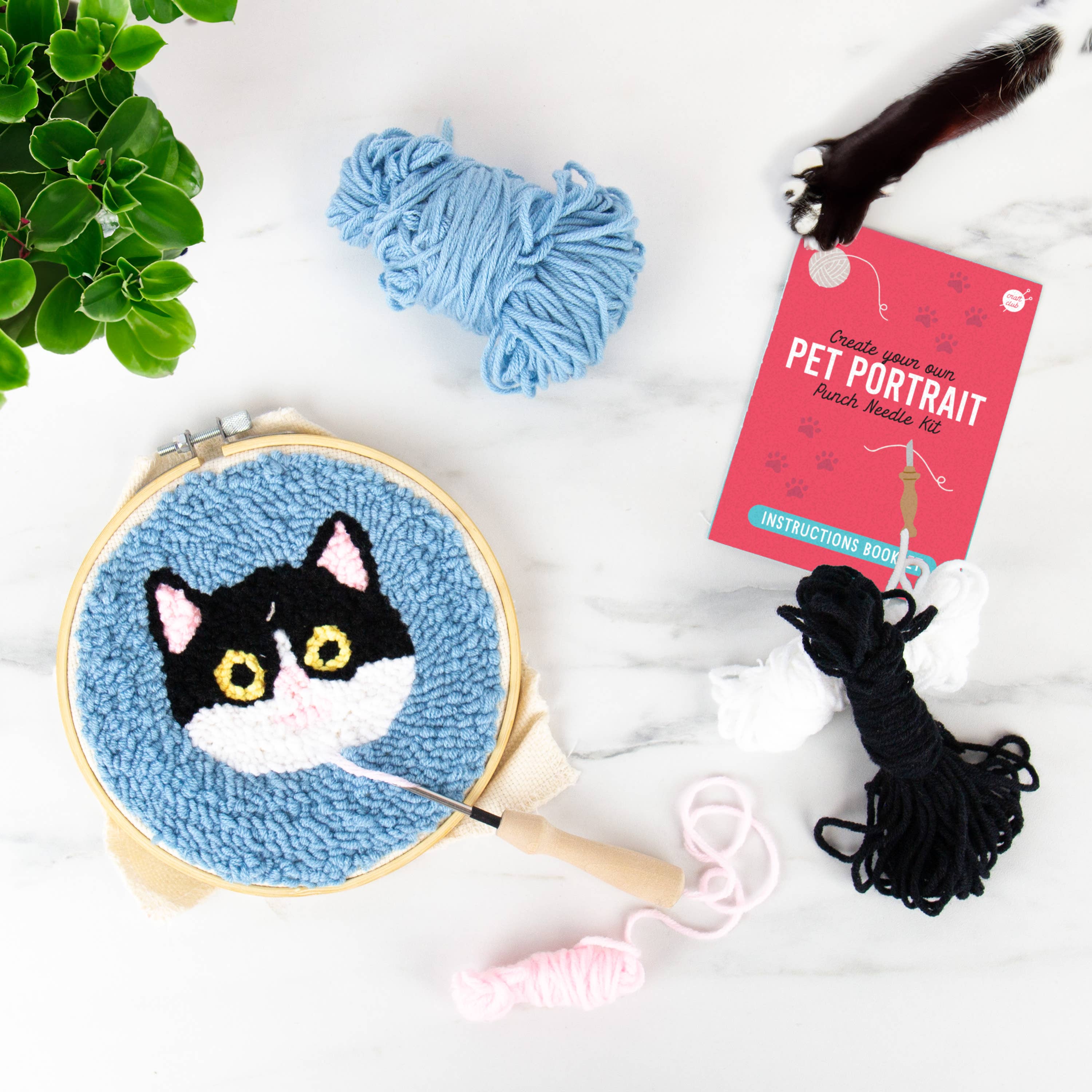 Pet Portraits - Cat Punch Needle - Image 3