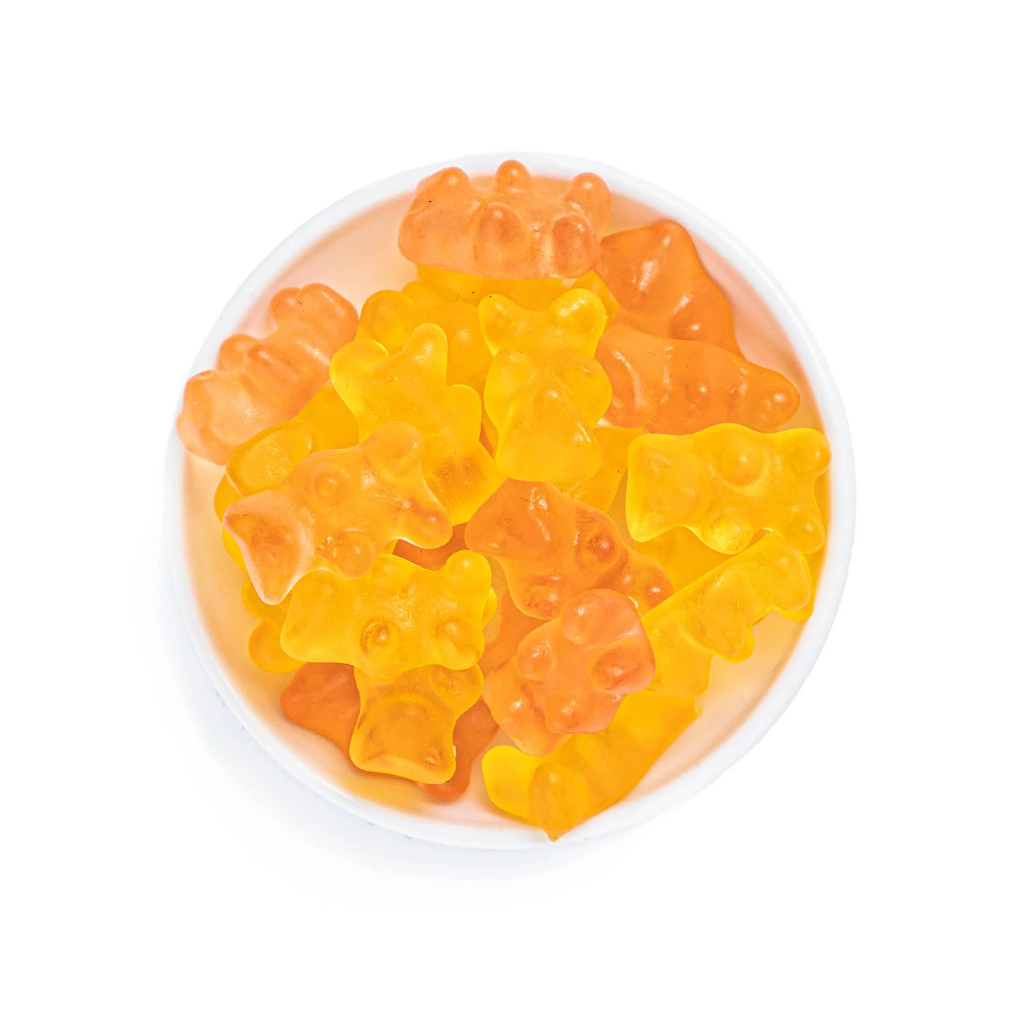 Prosecco Bears - Image 2