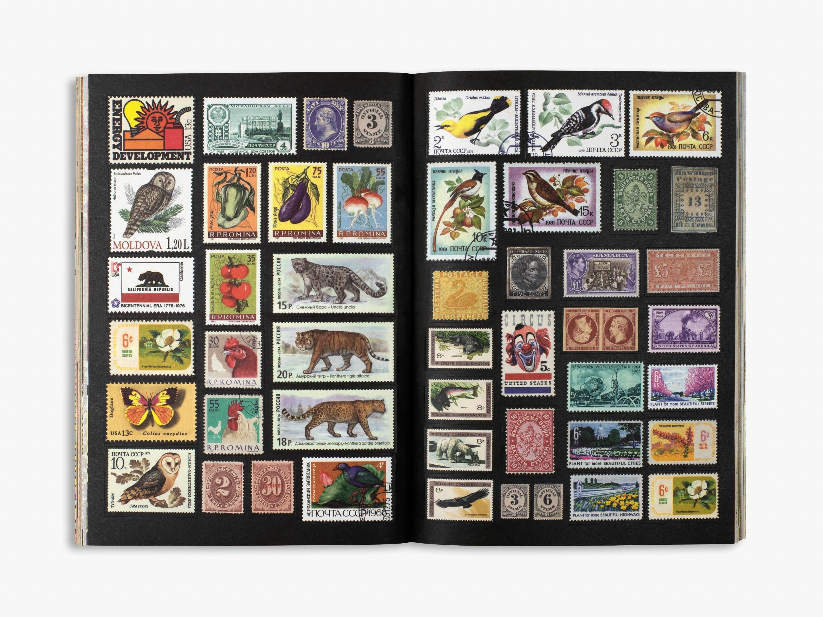 The Curious Collections Sticker Book - Image 5